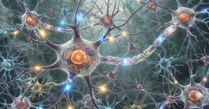 Neurone affetto da mielina causa sclerosi multipla