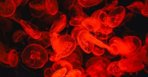 A cosa serve il Plavix