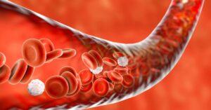 Apparato cardiocircolatorio per trasportare sangue e linfa