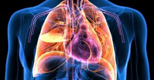 Da cosa è formato l'apparato respiratorio?