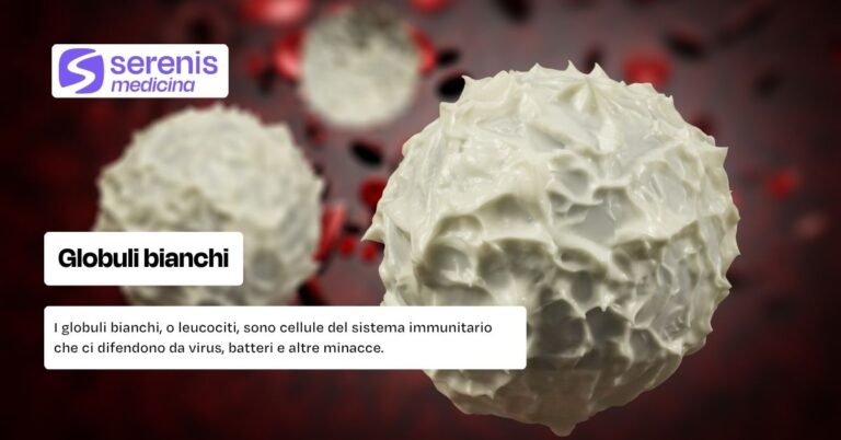 Globuli bianchi: cosa sono?
