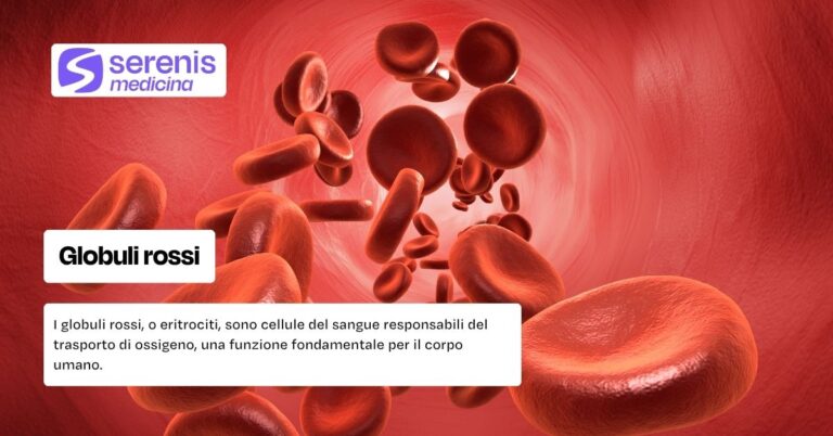 Globuli rossi: cosa sono e a che cosa servono