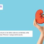 Reni: che cosa sono e a che cosa servono
