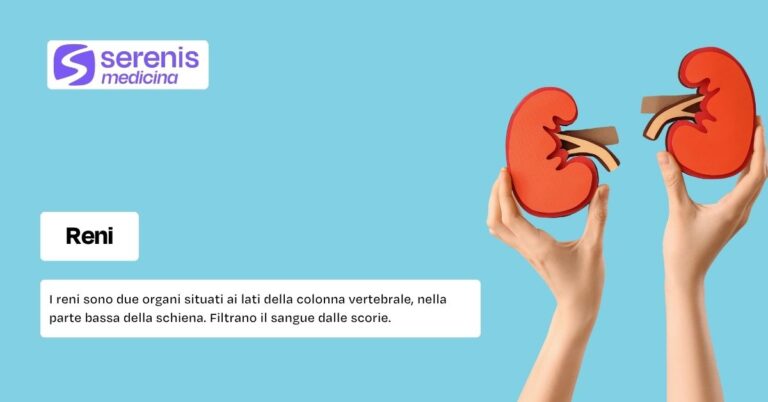 Reni: che cosa sono e a che cosa servono
