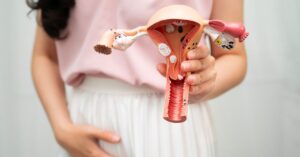 L'utero fa parte dell'apparato riproduttore femminile